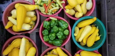 produce baskets