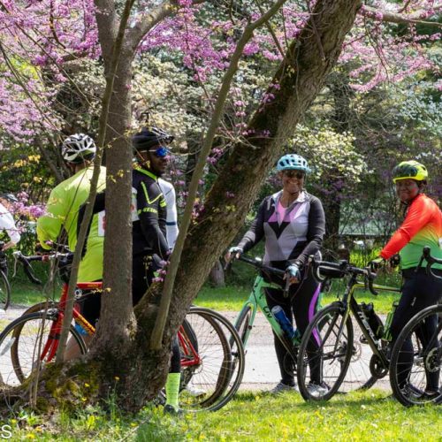 FFB-20240428-9184-scaled-sm